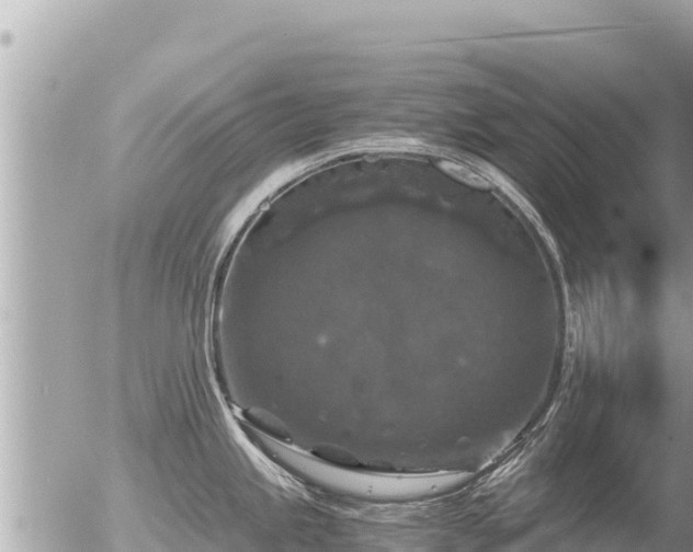 X0000056001245200508261742