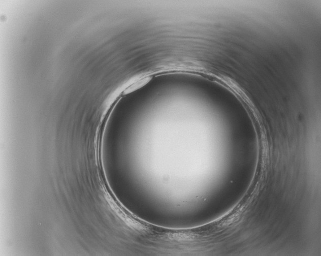 X0000056001246200508261742