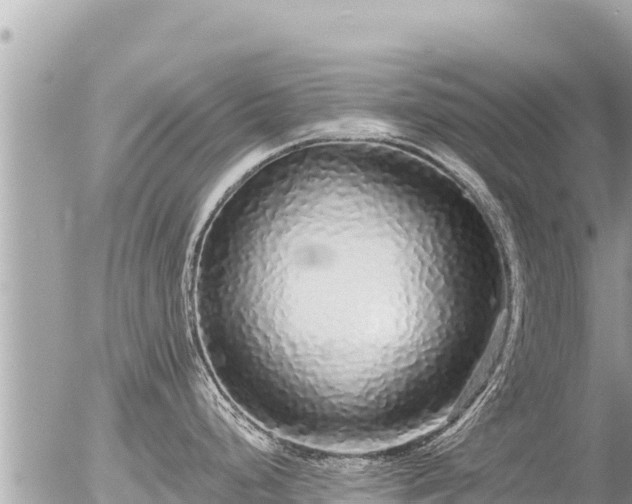 X0000056001248200508261742