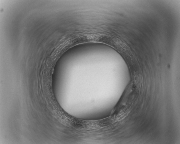 X0000056001249200508261741