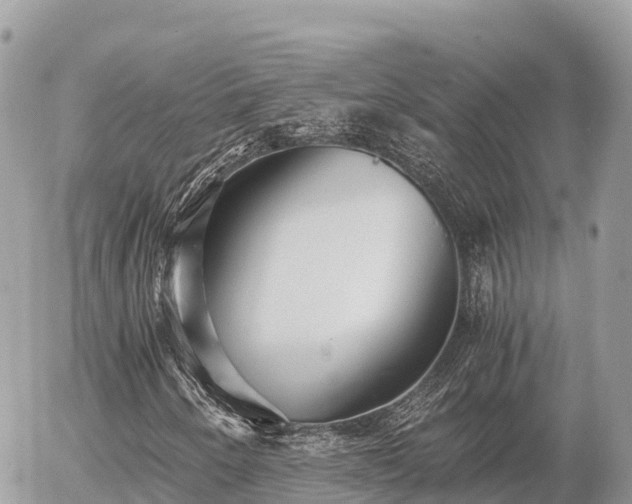 X0000056001250200508261741