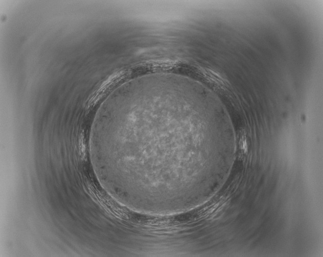 X0000056001252200508261741