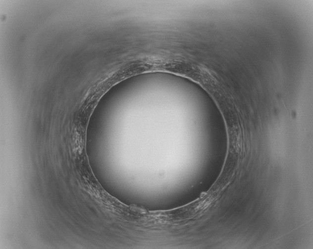 X0000056001253200508261741