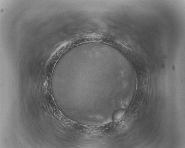 X0000056001254200508261741