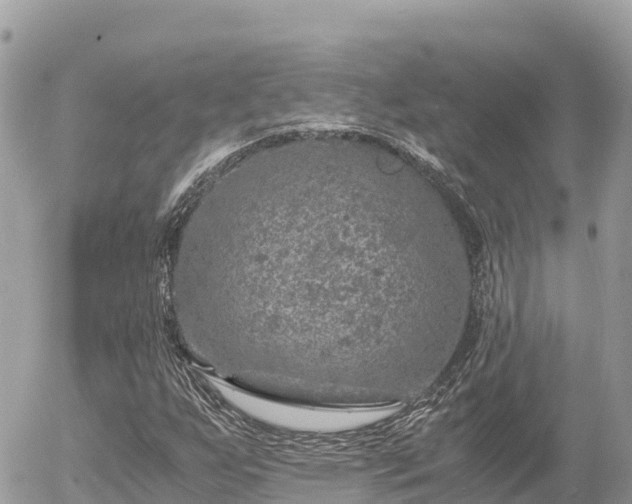 X0000056001255200508261741