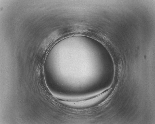 X0000056001257200508261741