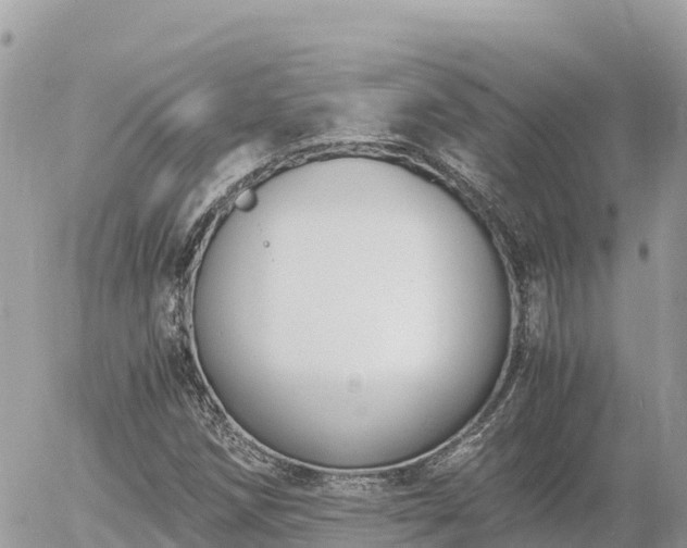 X0000056001258200508261741