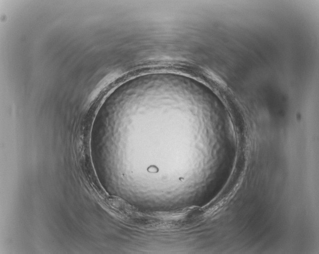 X0000056001259200508261741