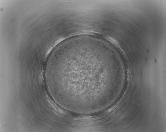 X0000056001260200508261741