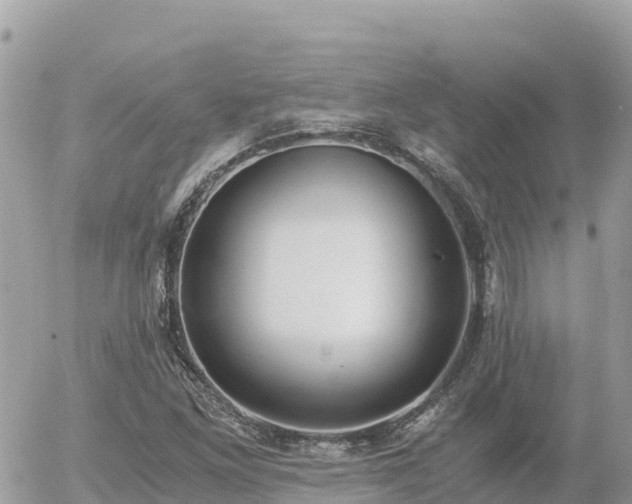 X0000056001261200508261741