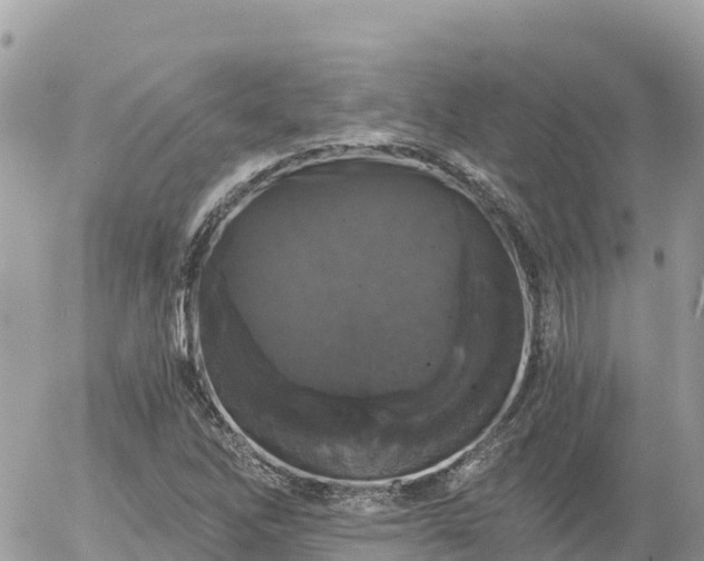 X0000056001262200508261741