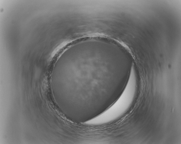 X0000056001263200508261741