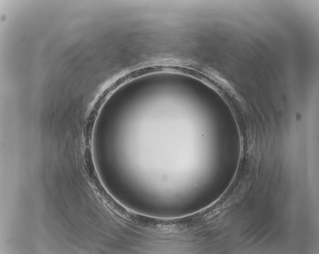 X0000056001264200508261741