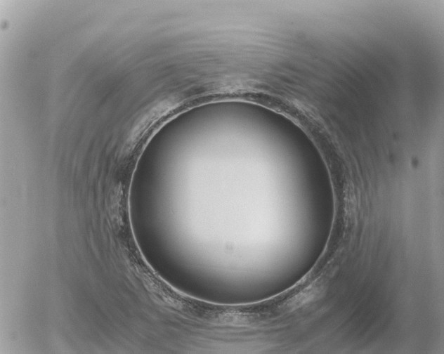 X0000056001265200508261741