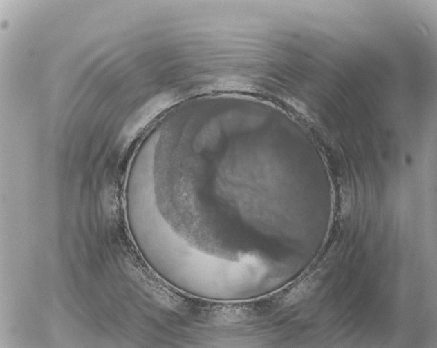 X0000056001266200508261741