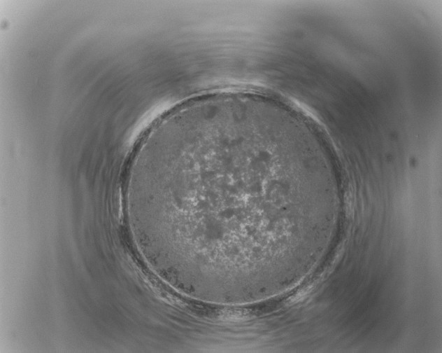 X0000056001267200508261741