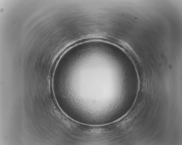 X0000056001268200508261741