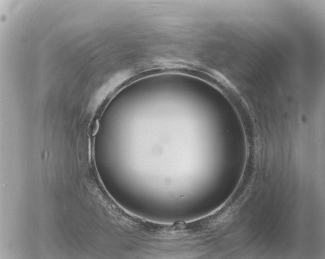 X0000056001269200508261740