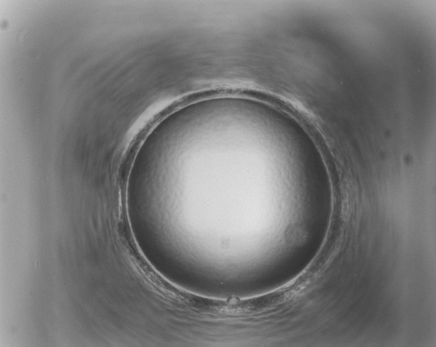 X0000056001271200508261740