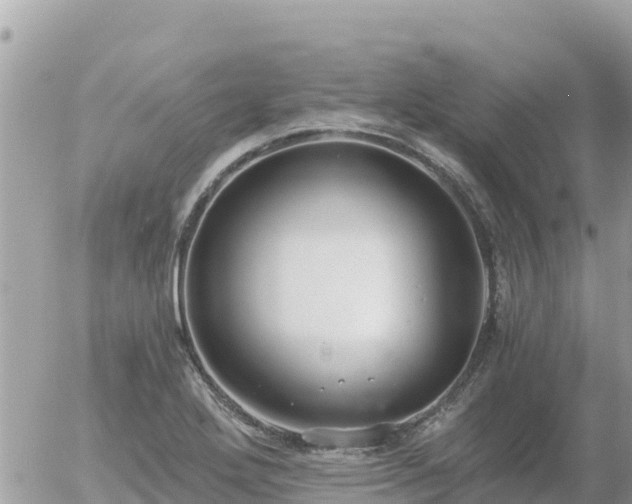 X0000056001272200508261740