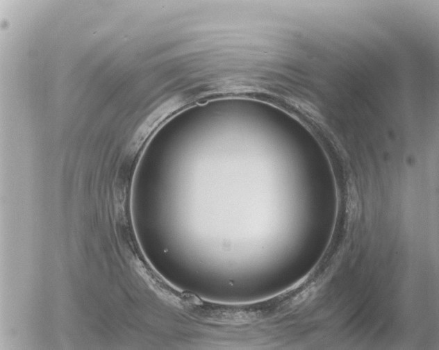 X0000056001273200508261740