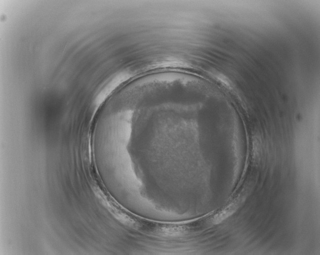 X0000056001274200508261740