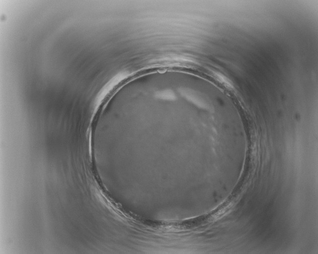 X0000056001275200508261740