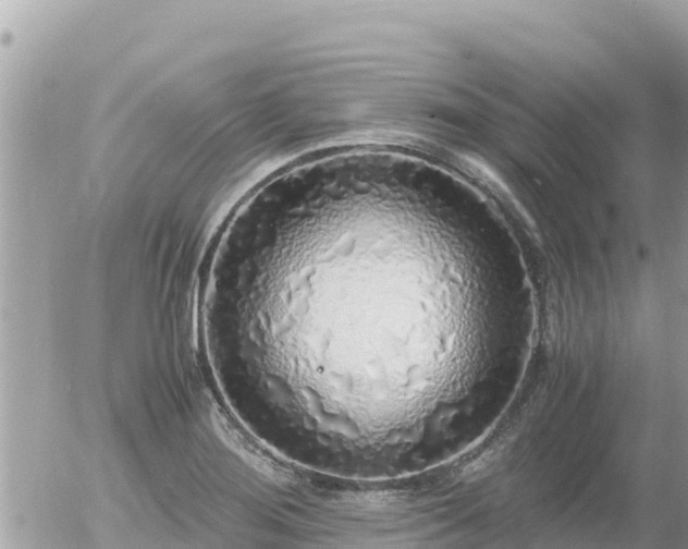 X0000056001276200508261740