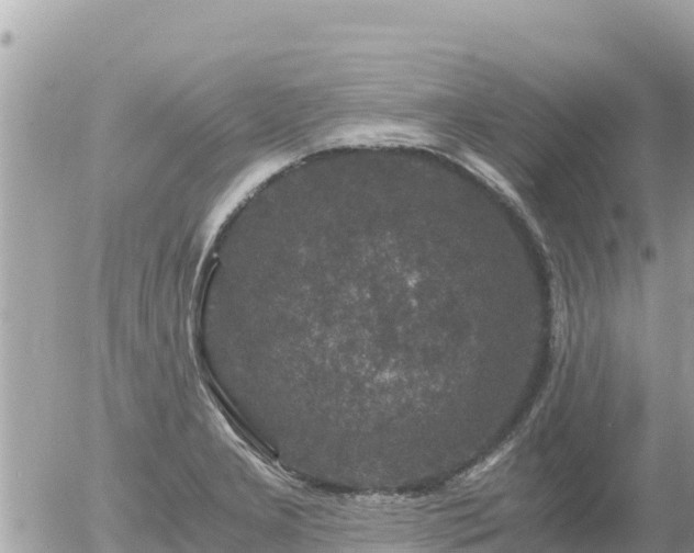 X0000056001277200508261740