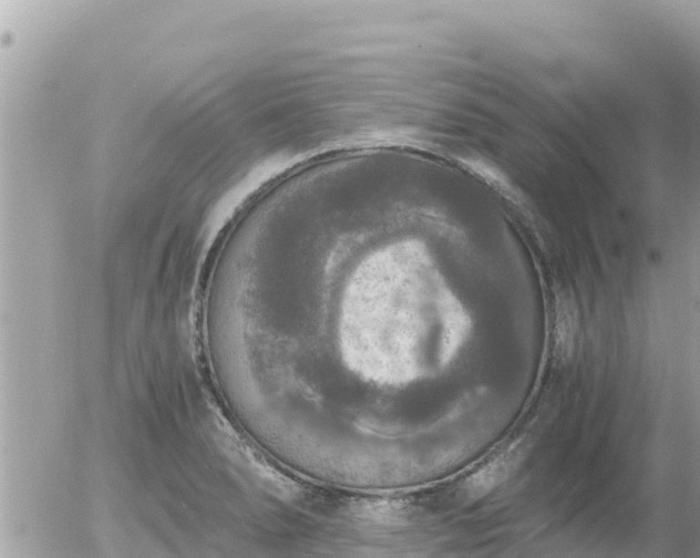 X0000056001278200508261740