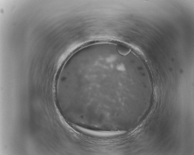 X0000056001279200508261740