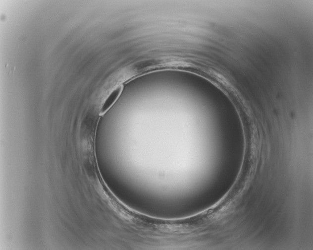 X0000056001281200508261740