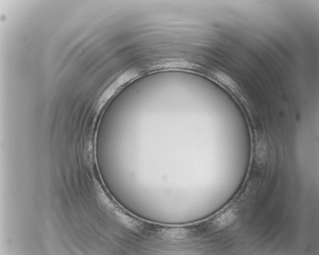 X0000056001282200508261740