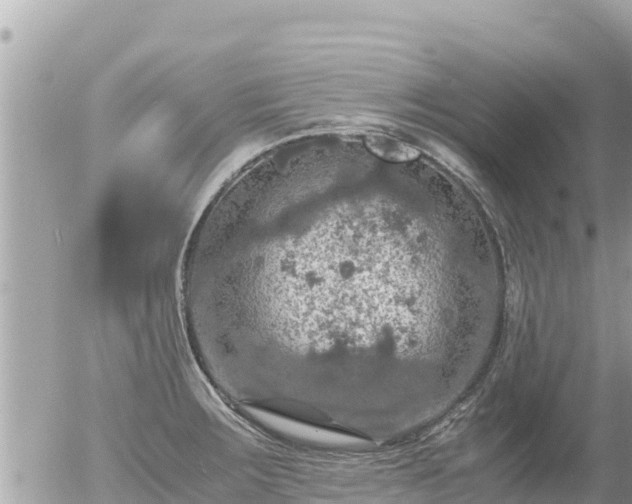 X0000056001283200508261740