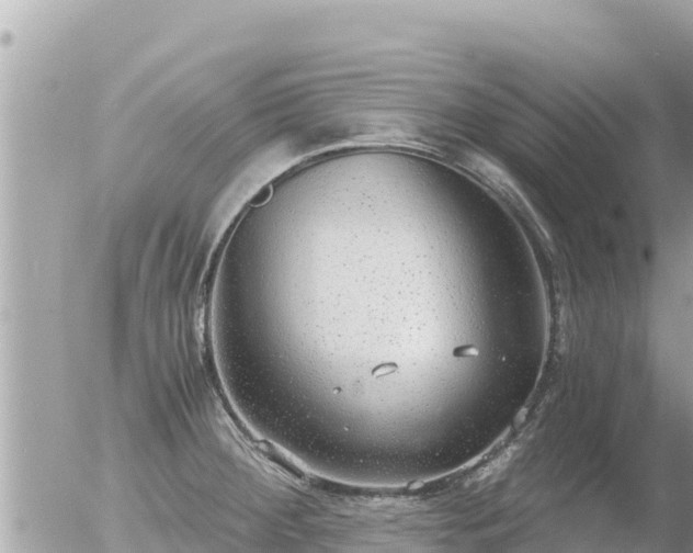 X0000056001284200508261740