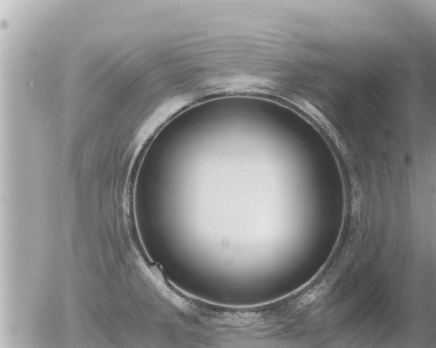 X0000056001285200508261740