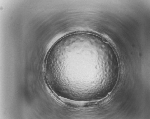 X0000056001287200508261740