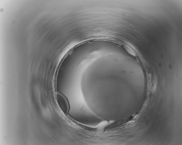 X0000056001291200508261740