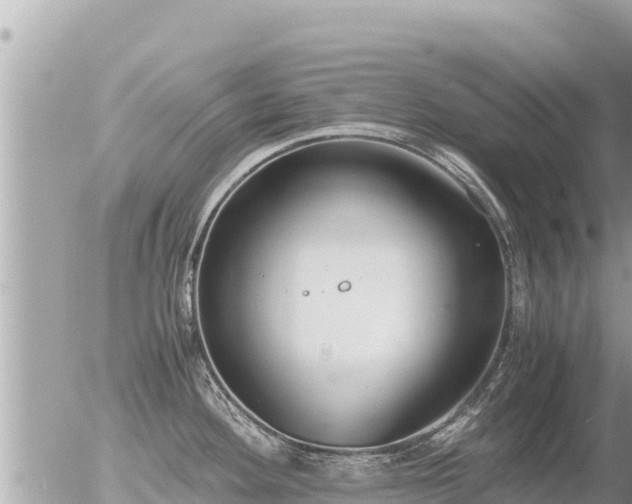 X0000056001292200508261740