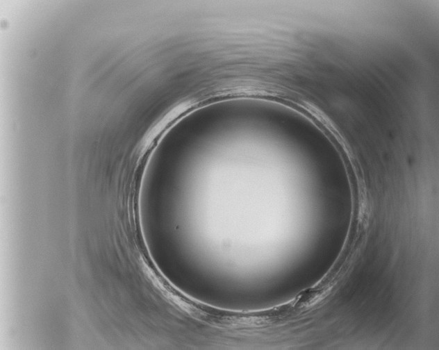 X0000056001293200508261740