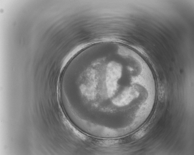 X0000056001294200508261740