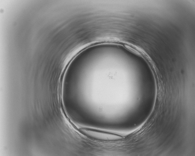 X0000056001295200508261740