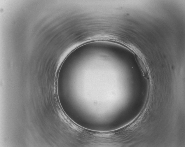 X0000056001296200508261740