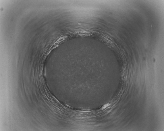 X0000056001298200508261739