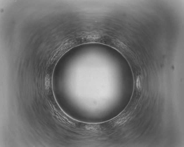 X0000056001299200508261739