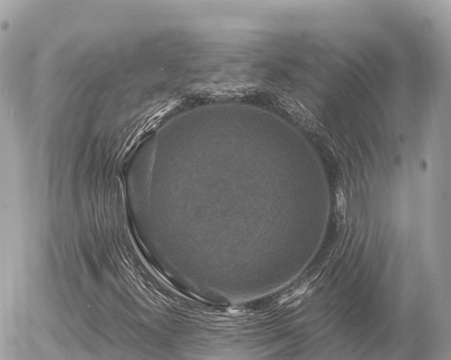 X0000056001300200508261739