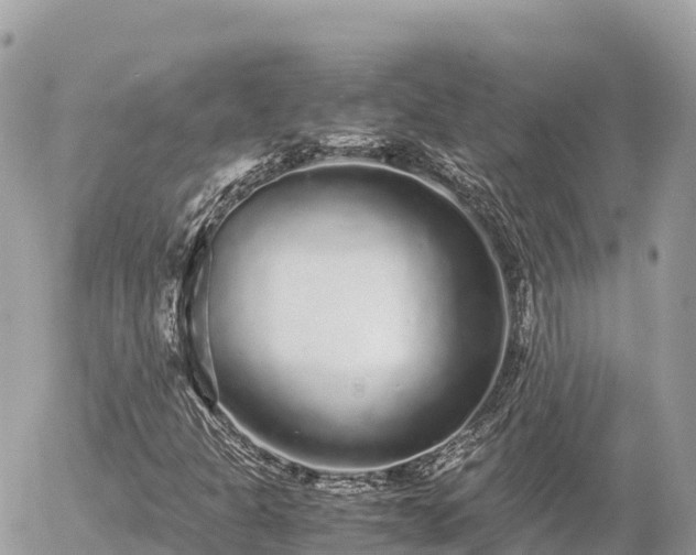 X0000056001301200508261739