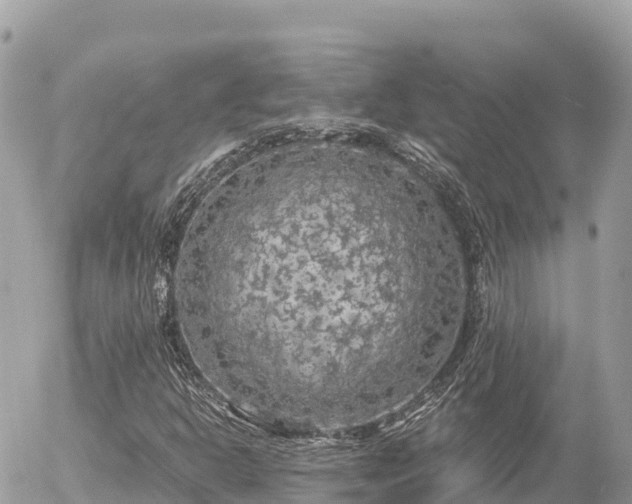 X0000056001302200508261739