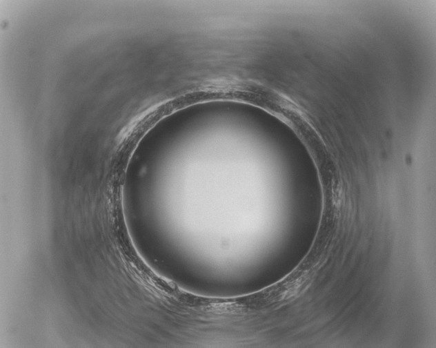 X0000056001304200508261739