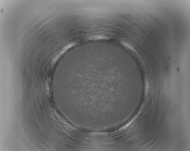 X0000056001305200508261739